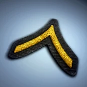 BF2.Online Rank 1 Perspective