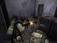 Two Navy SEALs in action in Battlefield 2: Special Forces.