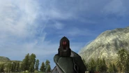 Iron sights