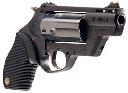 Taurus judge