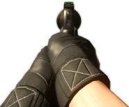 BFHL 357RS-2.png (377 KB) Improved Iron Sights