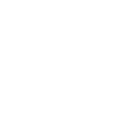 BFV Kubelwagen HUD