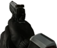 BFHL CZ75-1.png (240 KB) CZ-75 in first person