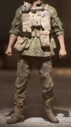 Battlefield V Allies Flim-Flam