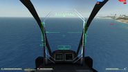 Pilots view