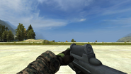 BF2.F2000 Reload 2