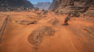 Sinai Desert 21