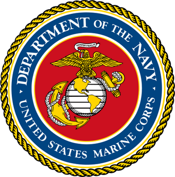 Marine Corps Patch: USMC Department of Aviation Full Color