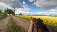 BFV Jungle Carbine Standing.png (3.37 MB) Standing with the Jungle Carbine