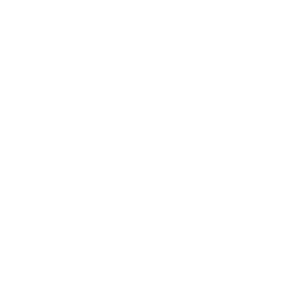 BFV Churchill Crocodile HUD