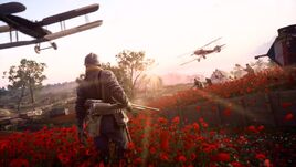 BF1 Bruch