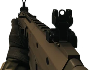 The ACWR in first person