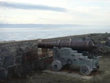 Cannon