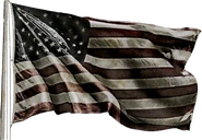 The U.S. flag used in the Vietnam expansion pack. Its aged appearance was possibly chosen to fit the time era.