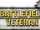 Battlefield Veteran