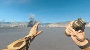 Throwing Flash Grenade