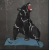 BFV Ursa Nose Art