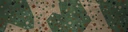 BF4 Dot Woodland Paint