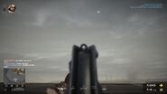 The Elite's USAS-12's iron sights