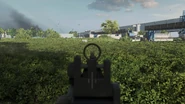Iron Sights
