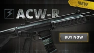 The ACW-R in the Play4Free store.