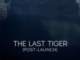 The Last Tiger