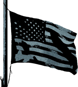 BFBC2 Conquest Flag