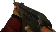 BFHL AKM-1.png (489 KB) The AKM in first person