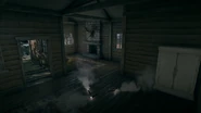 Cabins