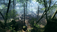 Argonne Forest 09