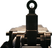 Iron sights.