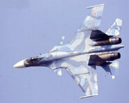 A Russian Navy Su-33.