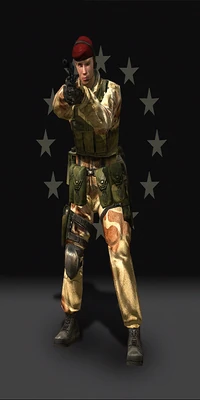 BF2HQ.EU.SF Kit 92FS sil