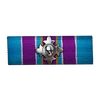 Ribbon of the Skull