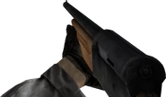 The Shotgun in first person