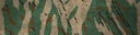 BF4 Tiger Woodland Paint