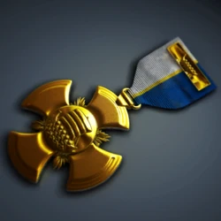 BF2.Navy Cross Medal Perspective