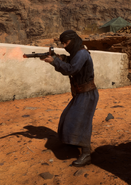 Bedouin assault