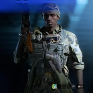 Grenadier Combat Roles