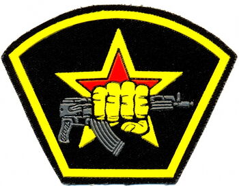 Spetsnaz insignia2