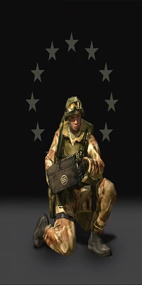 BF2HQ.EU.Support Kit Ammo Bag