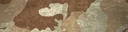BF4 ERDL Desert Paint