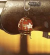 BFV Jeweled Egg Charm