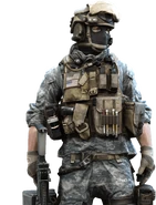 Поддержка США в UCP