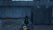 Iron Sights