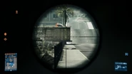 Rifle Scope's magnification at 100 meters.