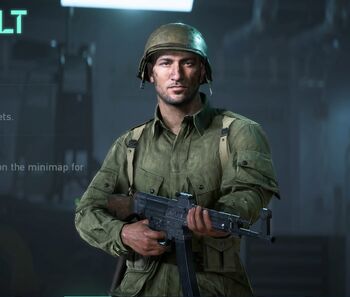 Assault, Battlefield Wiki