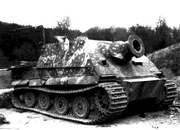 Sturmtiger IRL