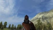 Iron sights