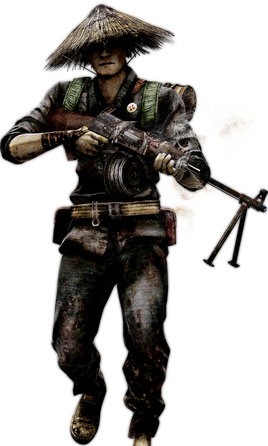 NVA